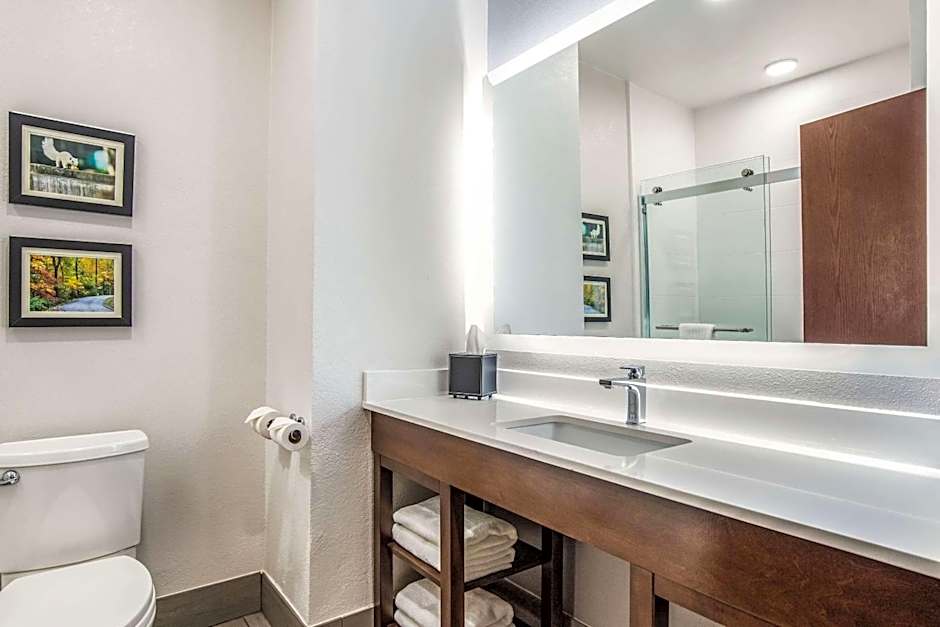 Comfort Inn & Suites Brevard North