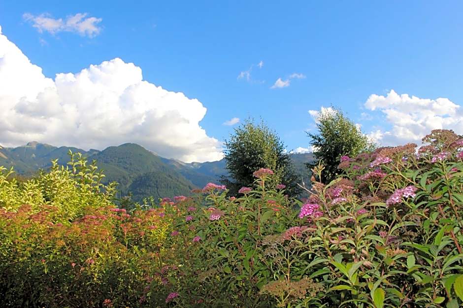 Park Hotel Bellacosta