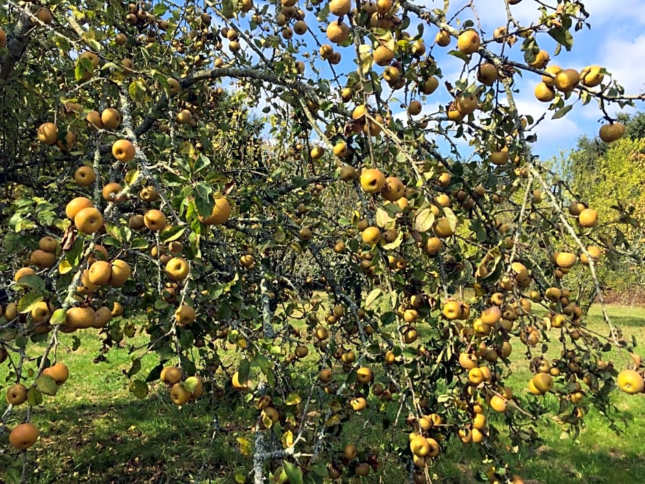 LA CAVERIE DE PEYROUX A ORTHEVIELLE (40300)