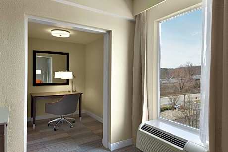 1 King Bed W/Sofabed-Microwave-Fridge Ns