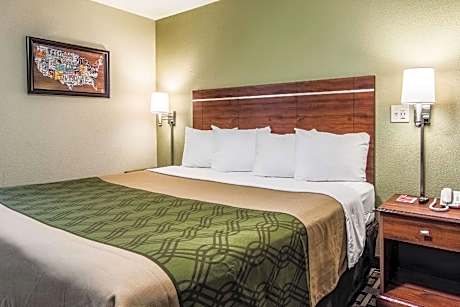 Pet-Friendly 1 King Bed - No Smoking