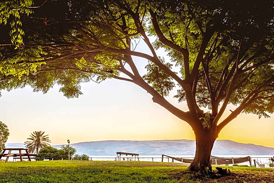 Daria- Authentic Israeli Experience