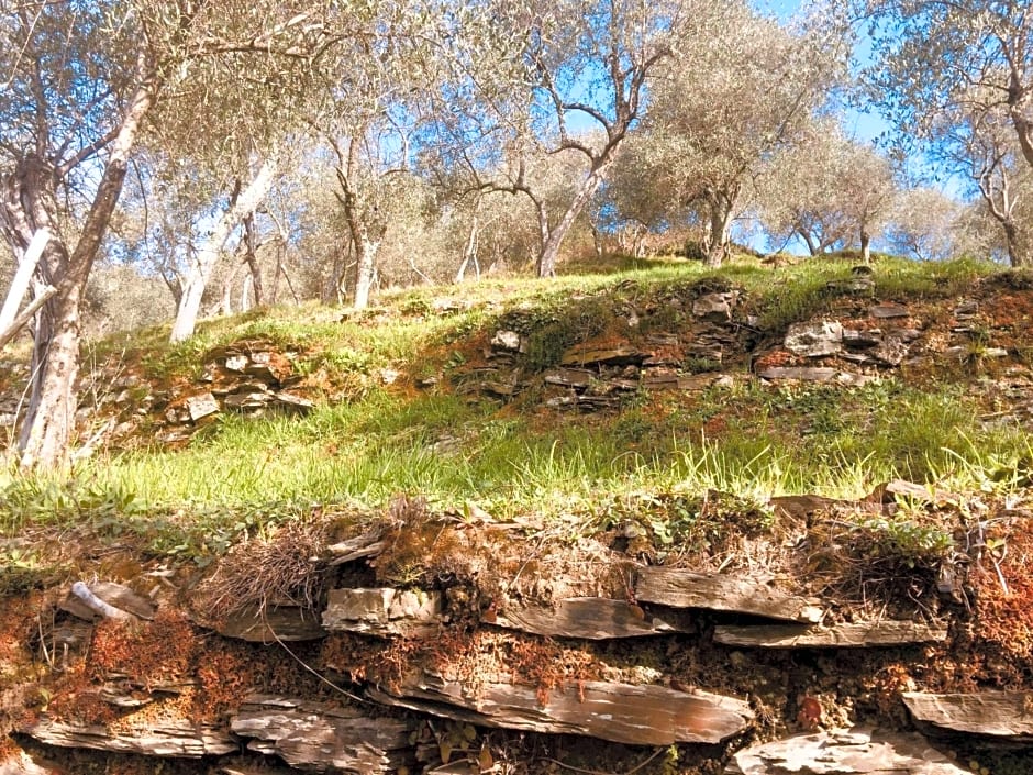 Locanda del Sale Affittacamere