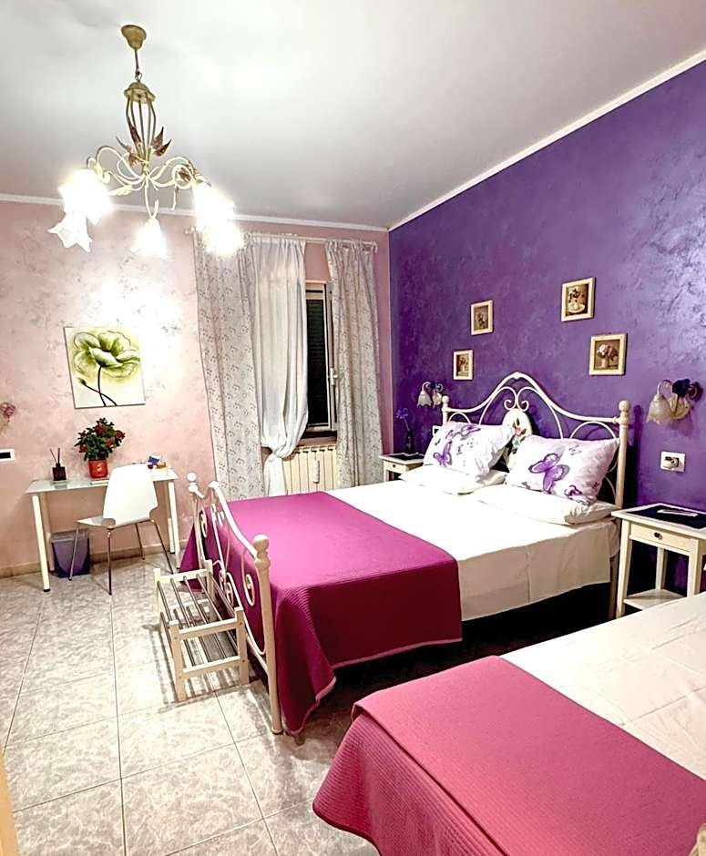 Bed&Breakfast degli ulivi