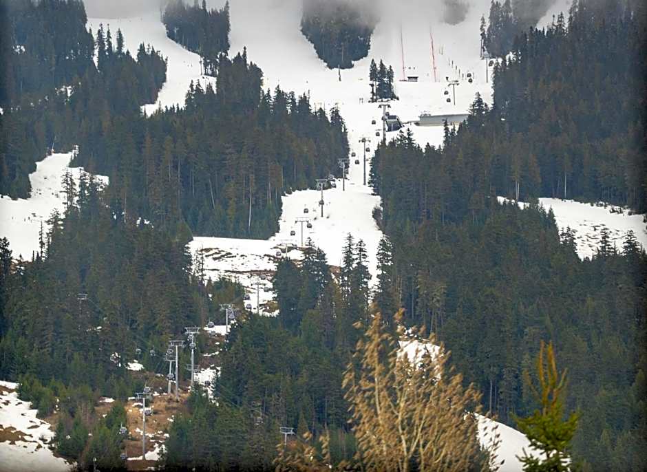 Mid Century Modern - Studio w Pool & Hot Tub