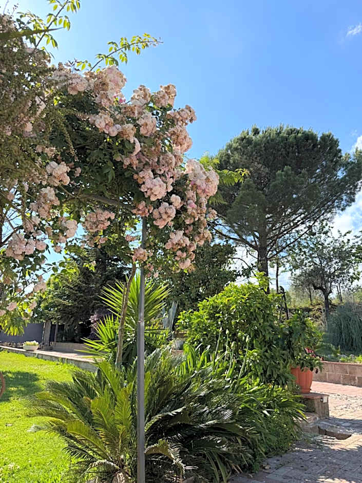 A Casa di nonna Emilia