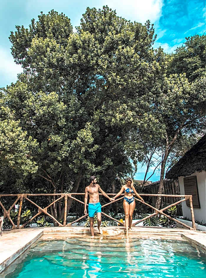 The Island - Pongwe Lodge