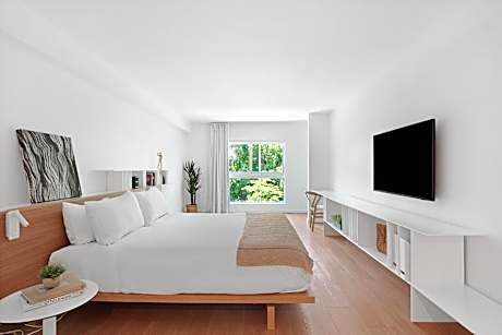 Deluxe One Bedroom Apartment