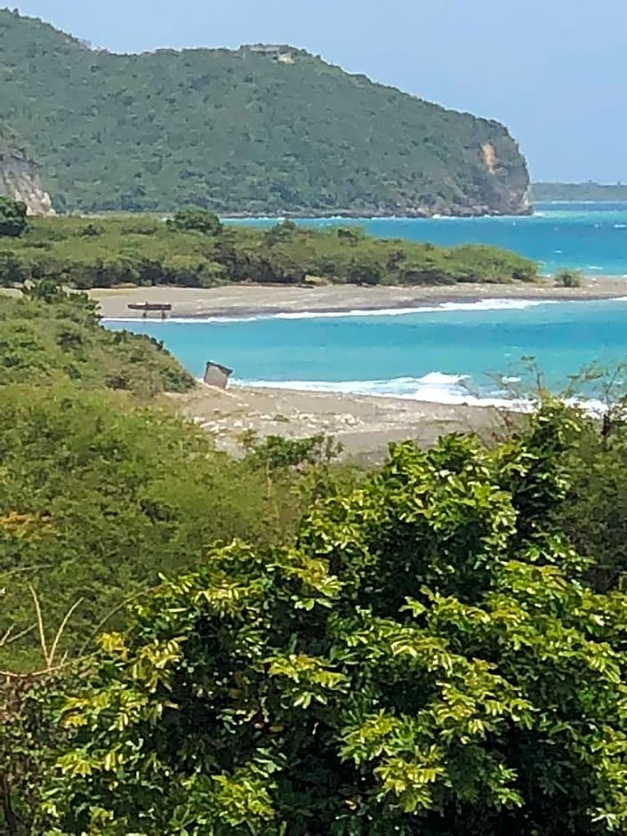 SCARLETT GUESTHOUSES HOTEL RESORTS