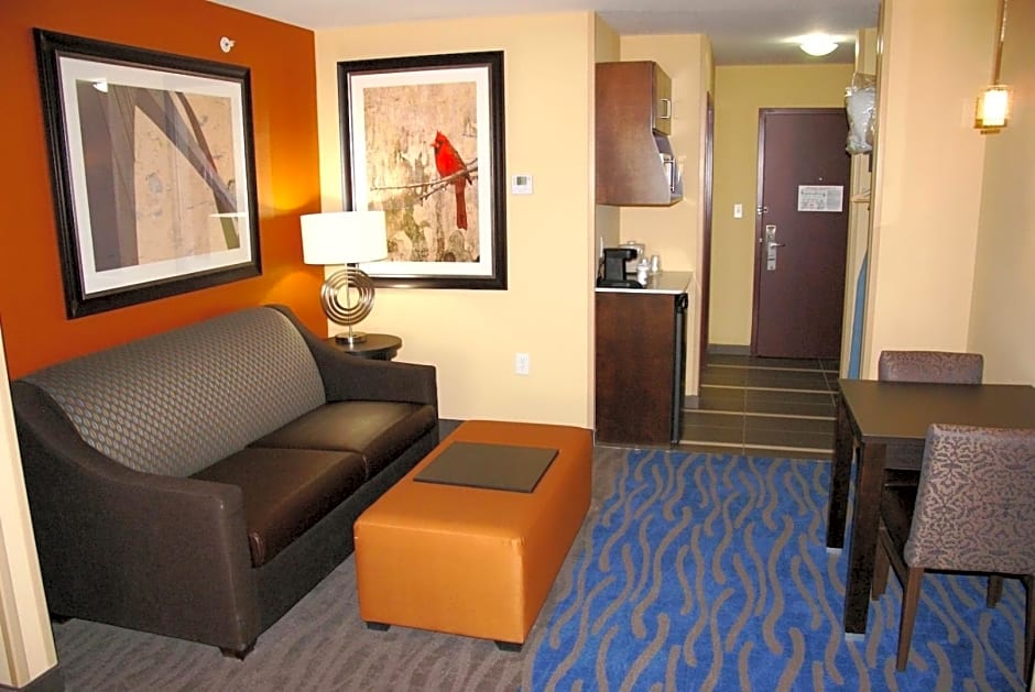 Holiday Inn Express Hotel & Suites St. Louis - NE Lambert Field