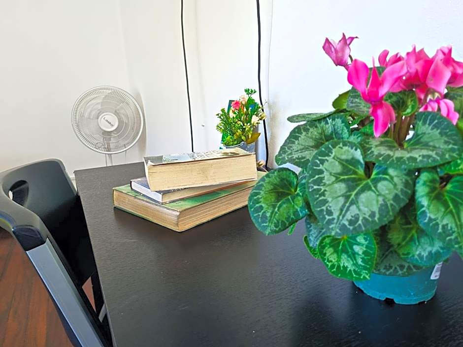 Casa Jardin del Mango