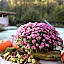 B&B Chez tante Alice