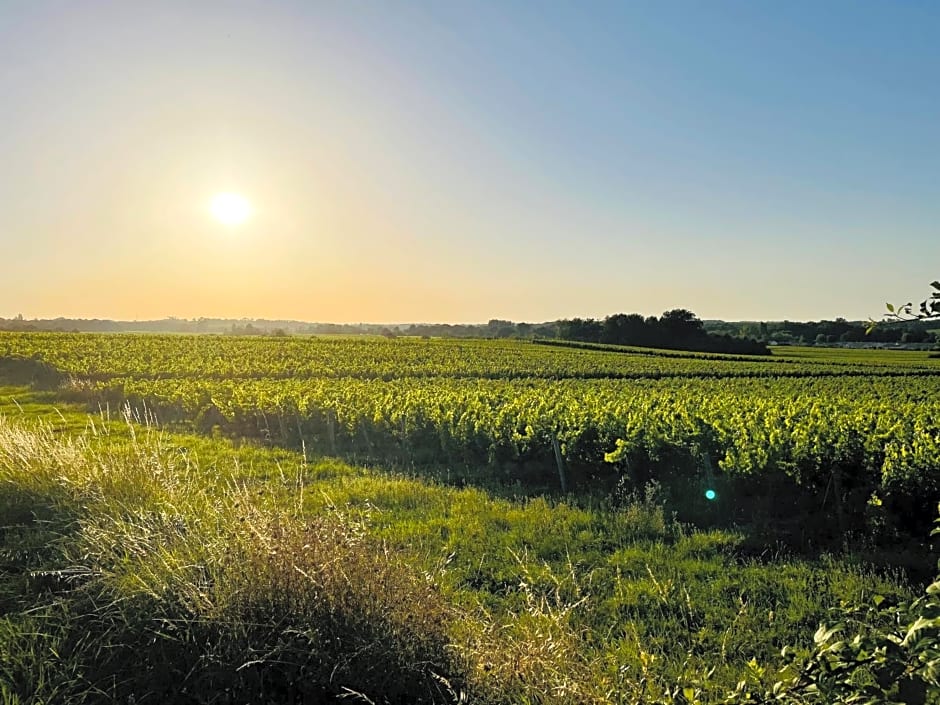 La Vigne d'Or