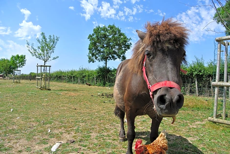 Chez Michel et Josette