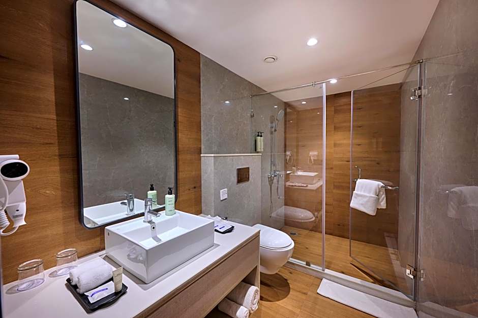 Delite Sarovar Portico Faridabad