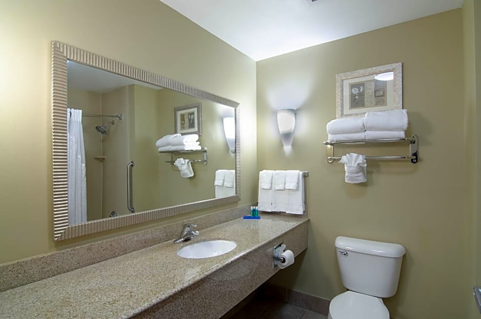 Comfort Suites Mobile-South Alabama University Area