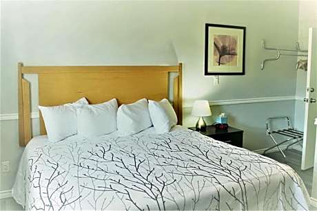 King Room Pet Friendly