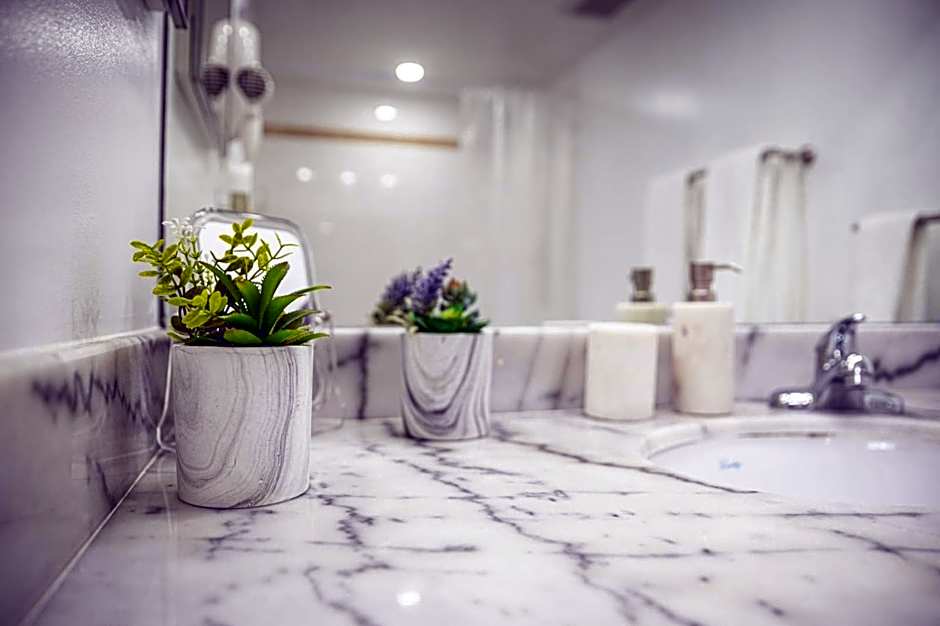 Modern and Luxurious Brickell Studio