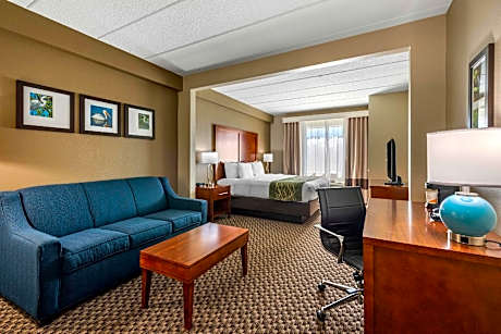 King Room - Accessible/Non-Smoking