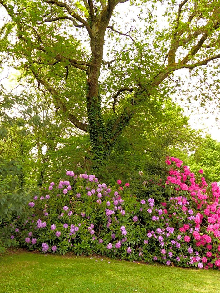 Best Western Auray Le Loch