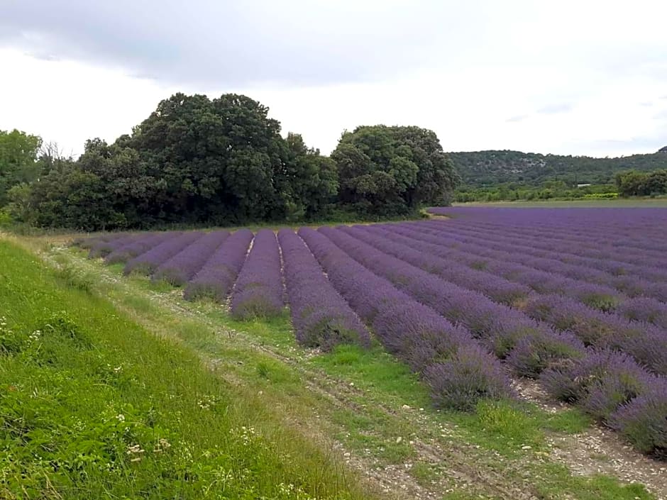 Chambre d'hôtes en Provence