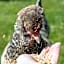 Hostel oder Ferienwohnung 1-16 Personen im BLAUEN HAUS