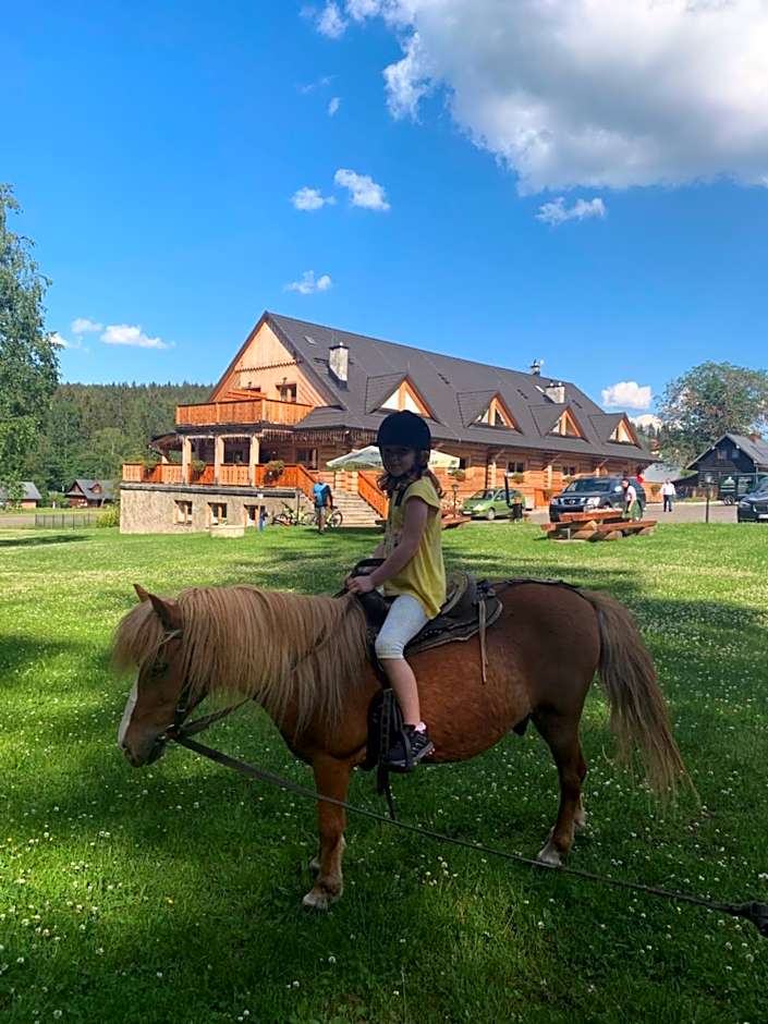 Olza Karczma i pokoje