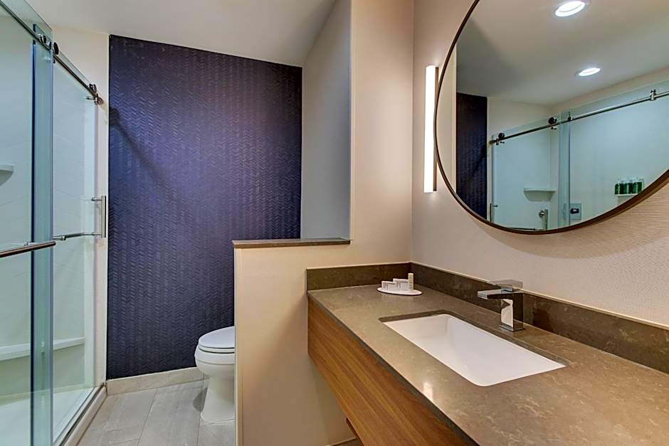 Fairfield Inn & Suites by Marriott Houston Brookhollow