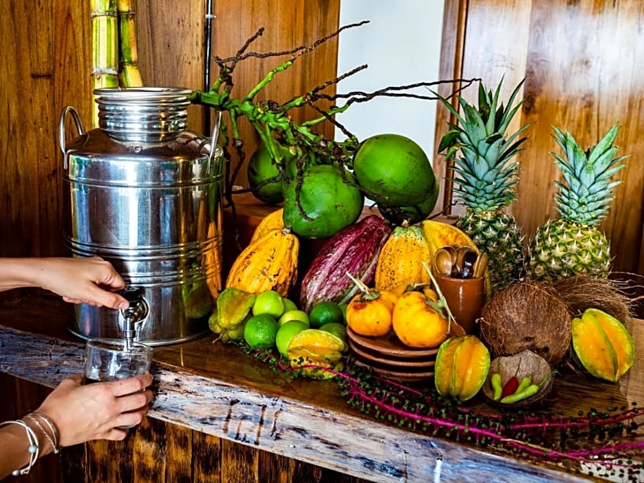 La Loma Jungle Lodge And Chocolate Farm