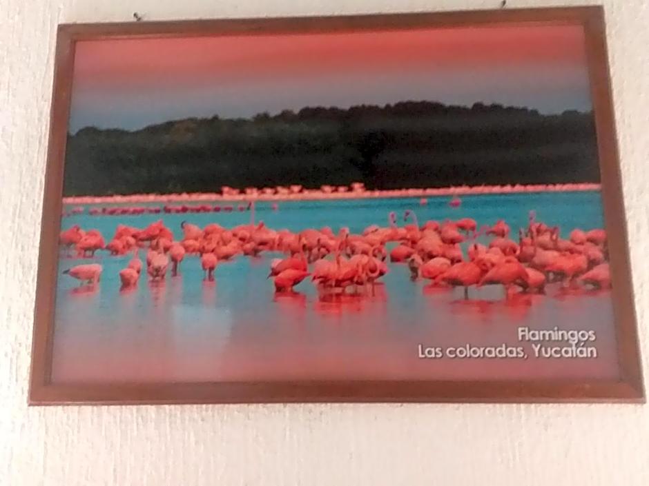 Casa Palagui Colonial