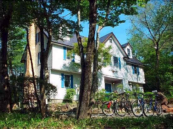 Cozy Inn Antique