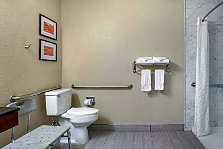1 King Bed Accessible Room Non-Smoking