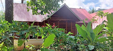 Cabañas Yax-ha