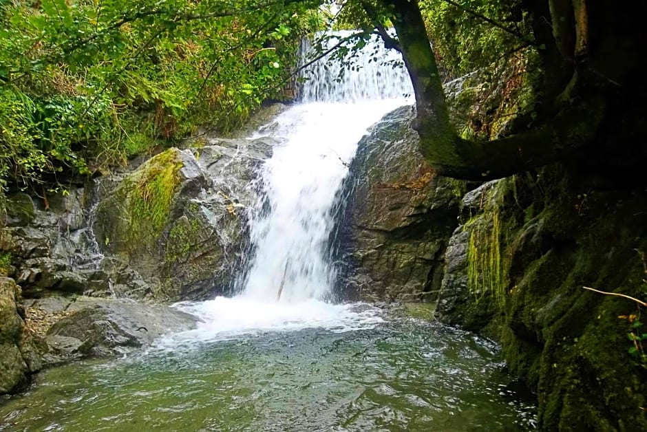 Affittacamere Trattoria Della Cascata