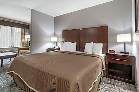 Suite-1 King Bed, Non-Smoking, Whirlpool Suite, 32-Inch Lcd Television, Wi-Fi, Microwave And Refrige