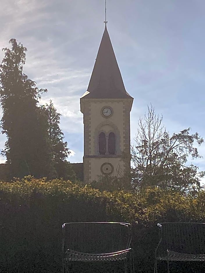 Cocon en lisière de forêt