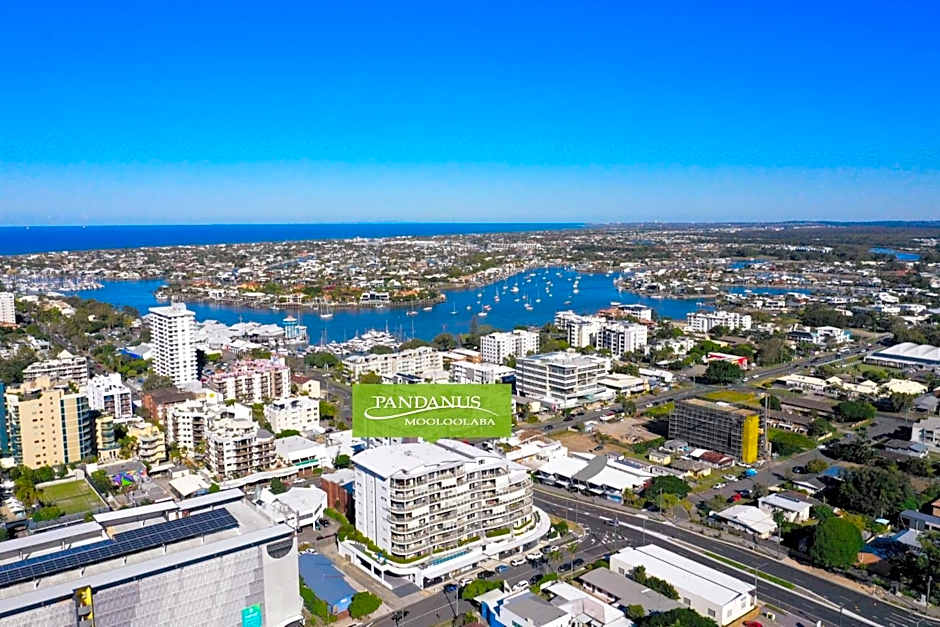 Pandanus Mooloolaba
