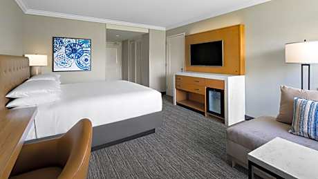 King Room with Terrace