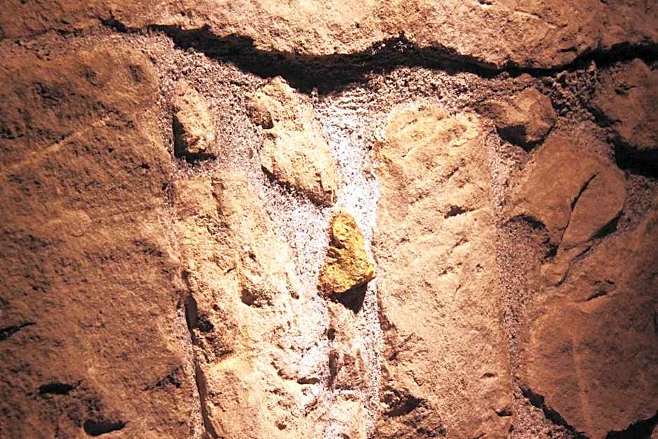 OwlStay Jiufen Wander