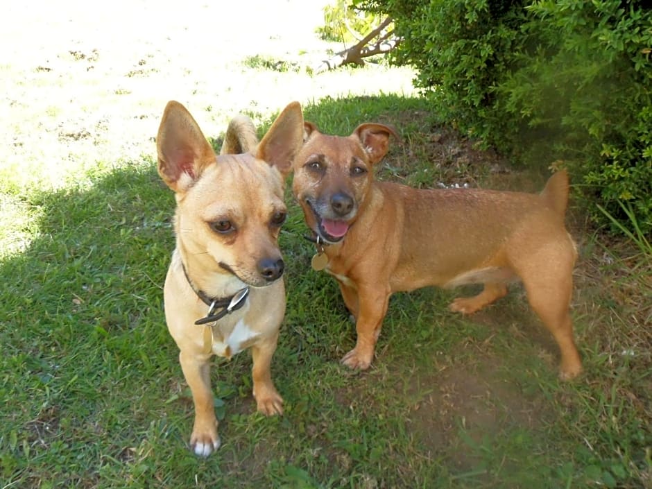 Riverside Bed and Breakfast