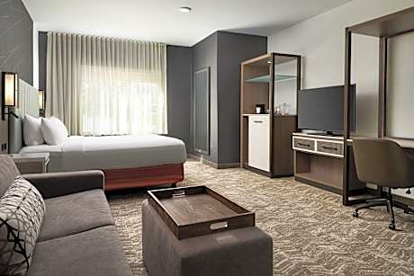 Suite, 1 King Bed with Sofa bed (Mobility Accessible, Tub) (1 King Bed and 1 Double Sofa Bed)