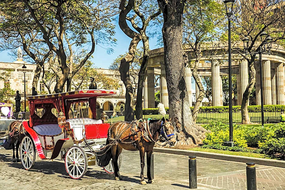 Gamma Guadalajara Centro Historico