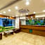 Ivy Studios