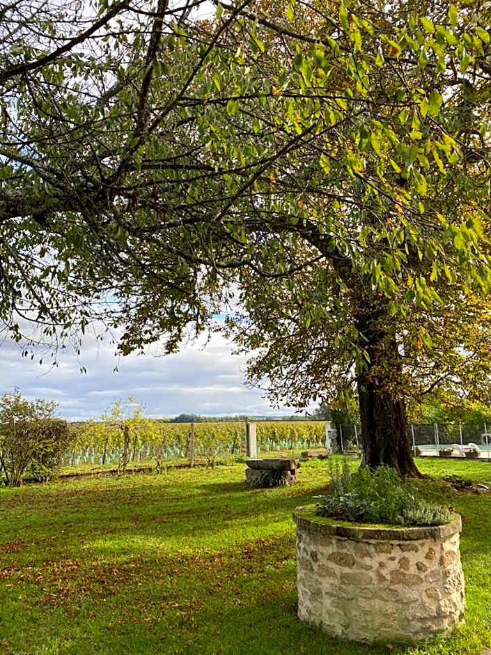 Le Jardin dans les vignes