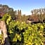 Cabanes avec jacuzzi les pieds dans la vignes