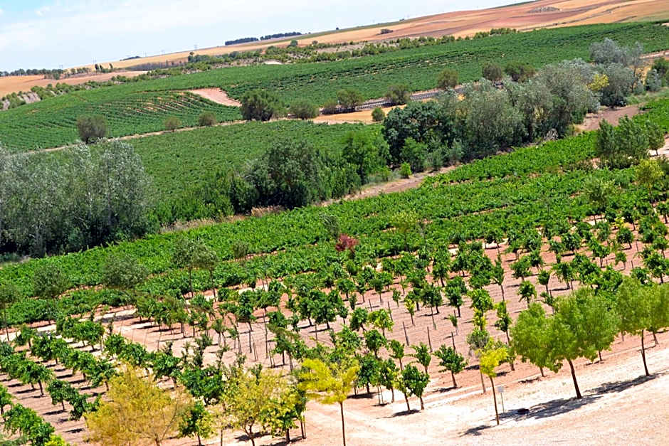 Complejo Enoturístico Finca La Estacada