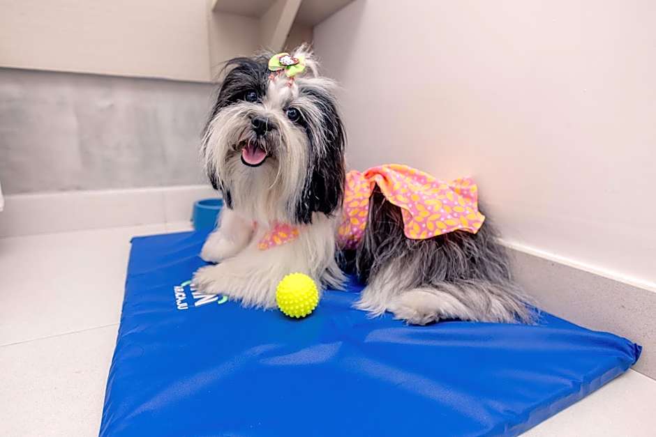 Go Inn Hotel Aracaju