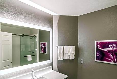 One-Bedroom King Suite - Non-Smoking