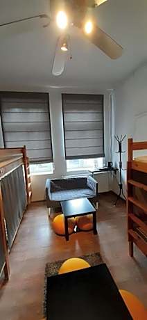 Bunk Bed in Mixed Dormitory Room