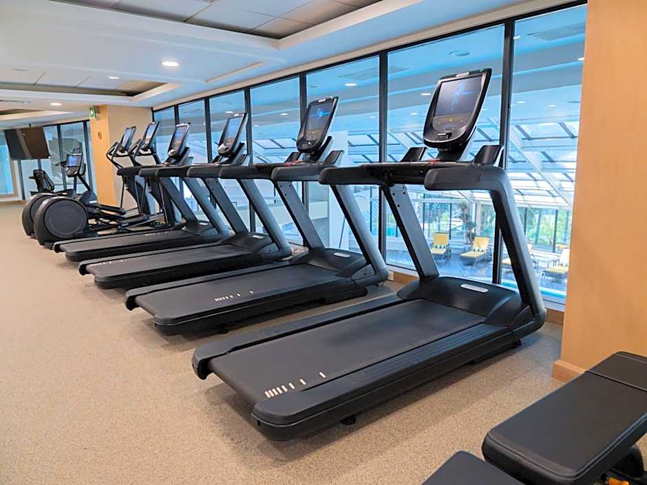 MS Milenium Monterrey, Curio Collection by Hilton